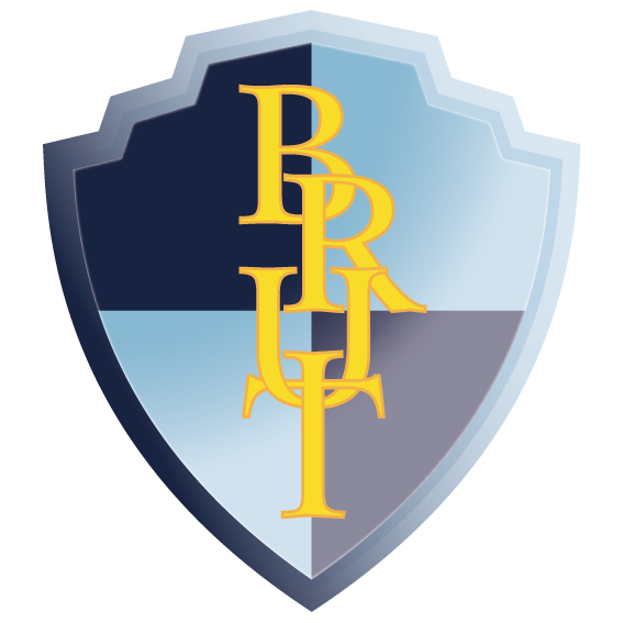 Logo BRUT 2013 3D